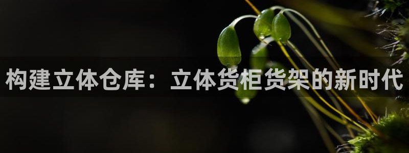 杏运体育app下载安装手机版