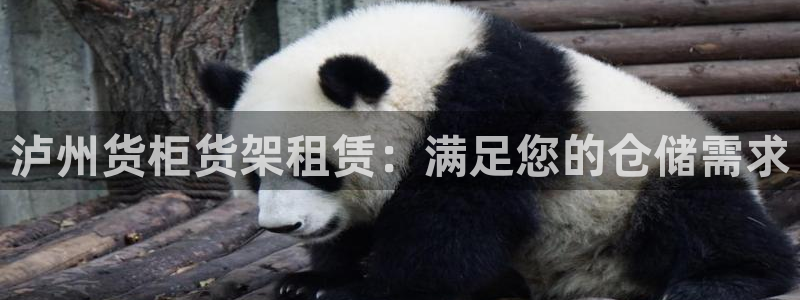 杏运体育怎么样