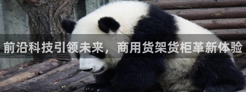 杏运娱乐平台注册地址在哪里