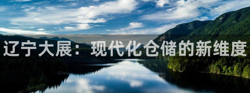 杏运平台代理：辽宁大展：现代化仓储的新维