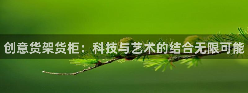 杏运体育app下载安装：创意货架货柜：科