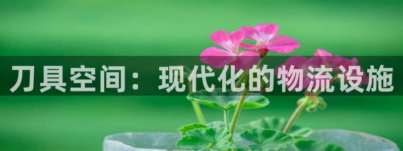 杏运体育app下载安装手机版