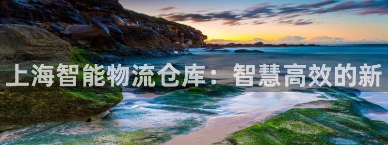 杏运体育网