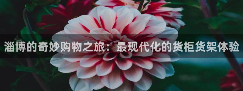杏运体育官方网址
