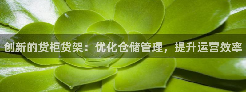 杏运体育官方网址登录