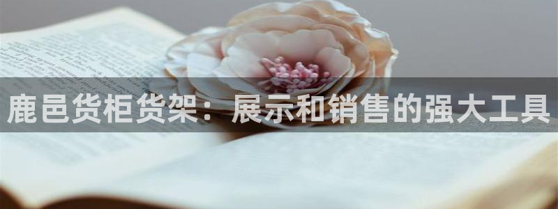 杏运体育娱乐