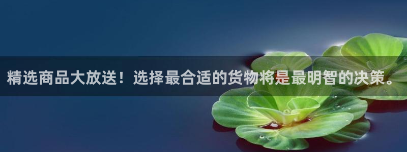 杏运平台代理