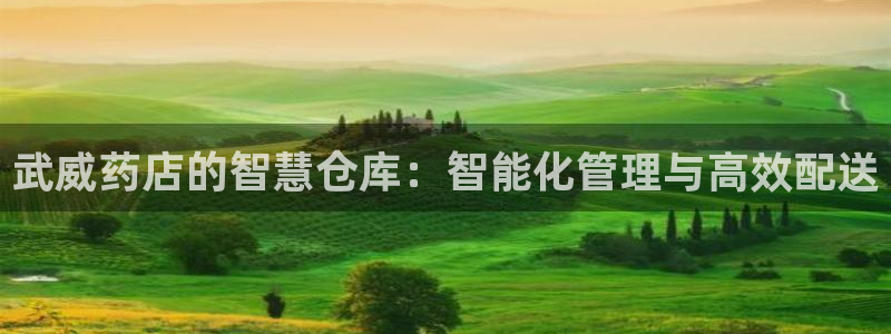 杏运体育登录：武威药店的智慧仓库：智能化