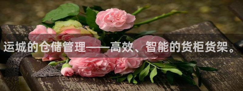 杏运体育平台：运城的仓储管理——高效、智