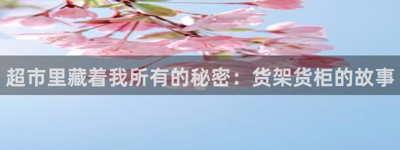 杏运体育官方网址