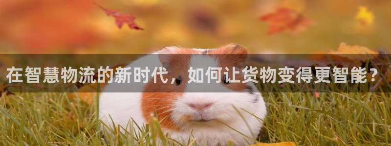杏运体育