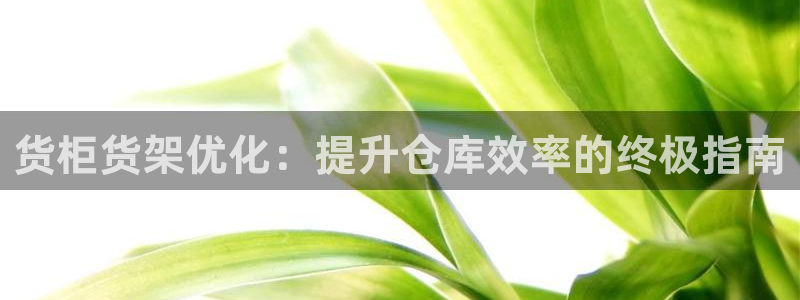 杏运体育注册：货柜货架优化：提升仓库效率