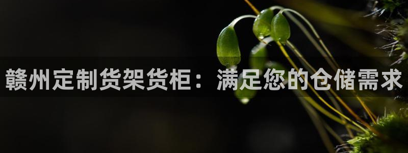 杏运平台官方网站