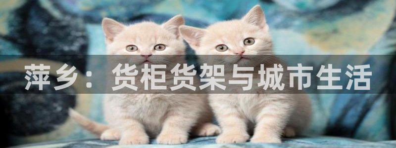 杏运体育官方网址登录