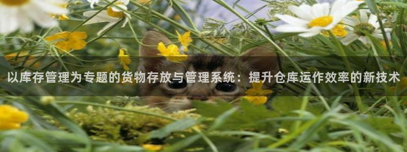 杏运体育官方网址登录