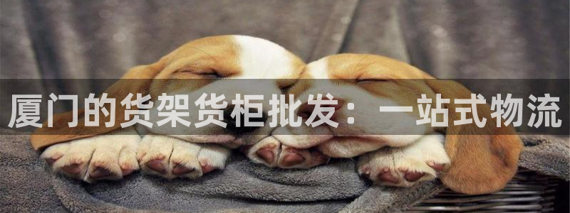 杏运体育平台正规吗安全吗可信吗