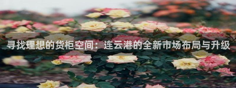 杏运体育app下载安装