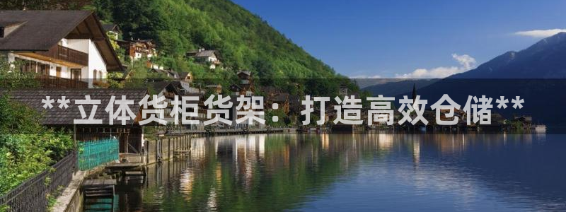 杏运平台代理：**立体货柜货架：打造高效