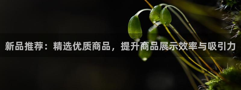 杏运注册登录地址