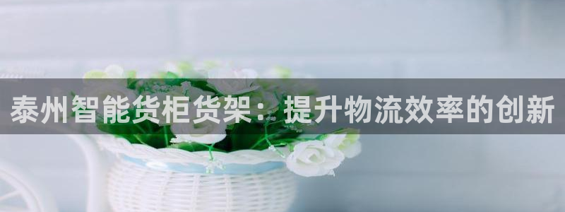 杏运体育注册：泰州智能货柜货架：提升物流