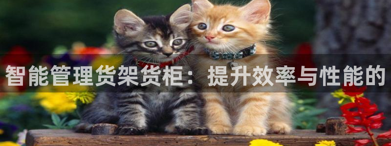 杏运娱乐平台注册地址在哪里